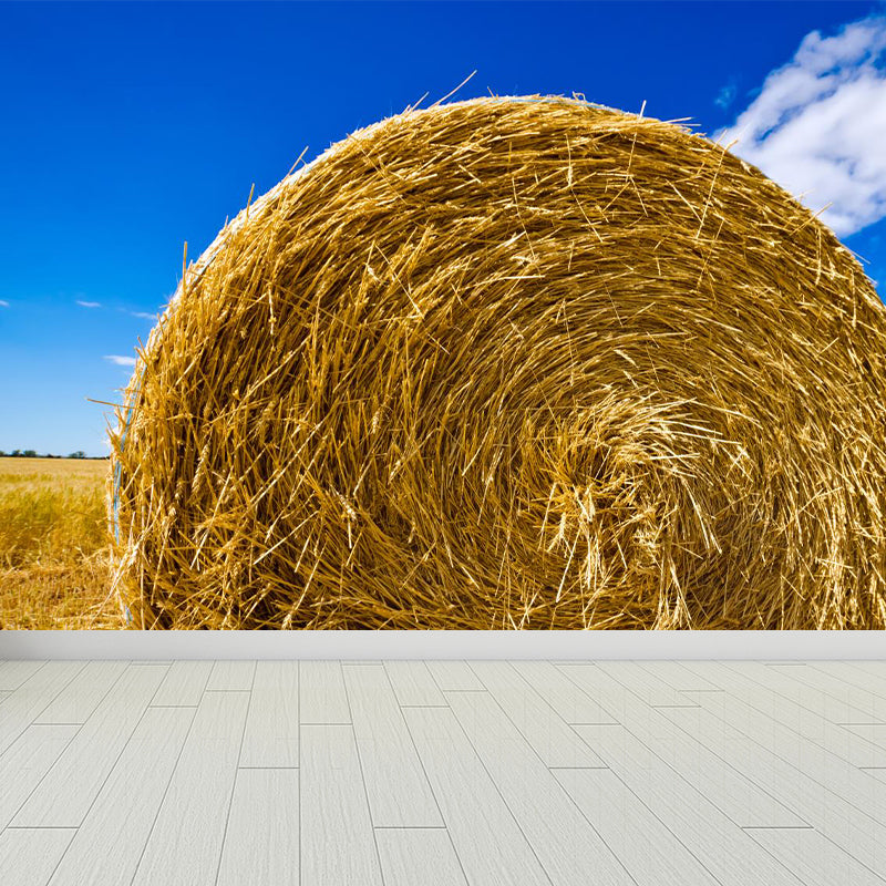 Moisture Resistant Hay Roll Mural Personalized Modern Wall Covering for House Interior Clearhalo 'Wall Decor' 'Wall Mural' 1895685