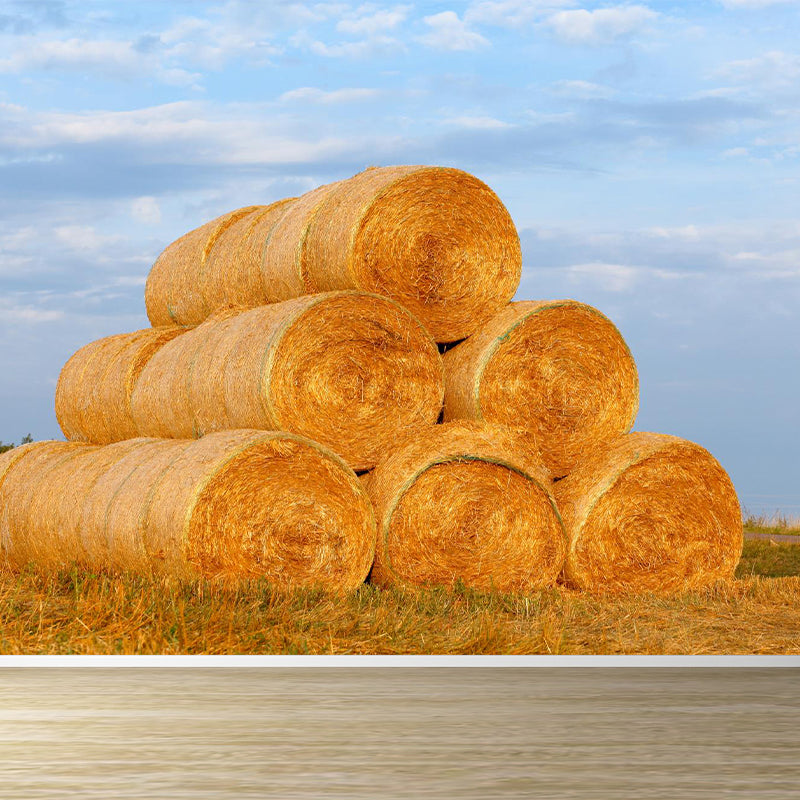 Moisture Resistant Hay Roll Mural Personalized Modern Wall Covering for House Interior Clearhalo 'Wall Decor' 'Wall Mural' 1895689
