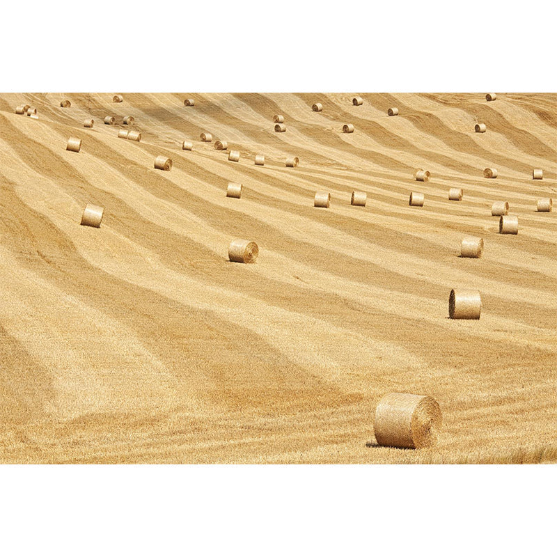 Moisture Resistant Hay Roll Mural Personalized Modern Wall Covering for House Interior Clearhalo 'Wall Decor' 'Wall Mural' 1895696