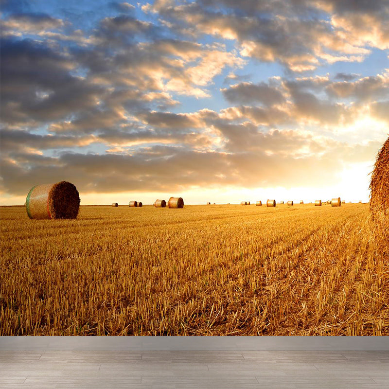 Moisture Resistant Hay Roll Mural Personalized Modern Wall Covering for House Interior Clearhalo 'Wall Decor' 'Wall Mural' 1895700