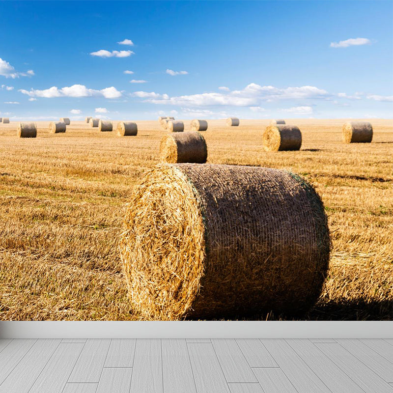 Moisture Resistant Hay Roll Mural Personalized Modern Wall Covering for House Interior Clearhalo 'Wall Decor' 'Wall Mural' 1895704