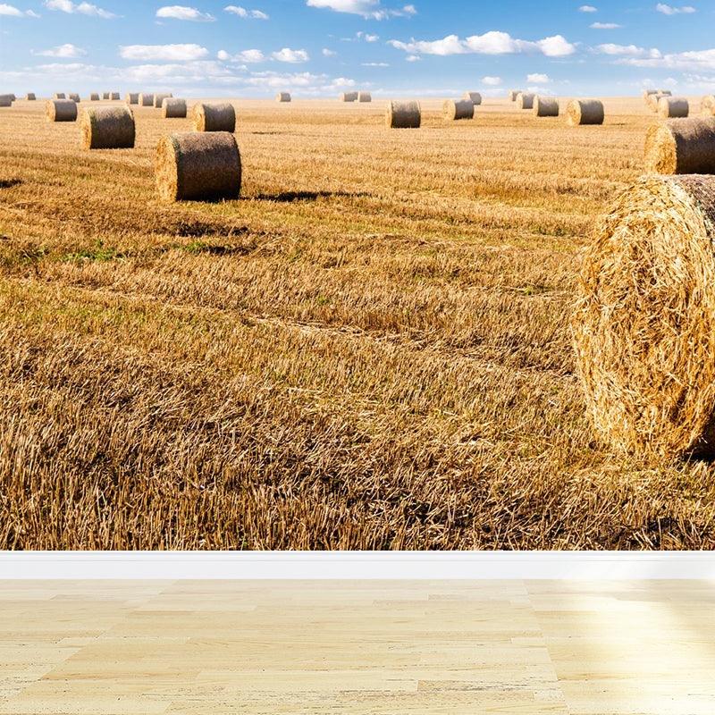 Moisture Resistant Hay Roll Mural Personalized Modern Wall Covering for House Interior Clearhalo 'Wall Decor' 'Wall Mural' 1895705