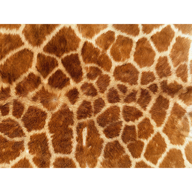 Whole Faux Animal Fur Mural Wallpaper Moisture Resistant Modern Living Room Wall Art Clearhalo 'Wall Decor' 'Wall Mural' 1895786