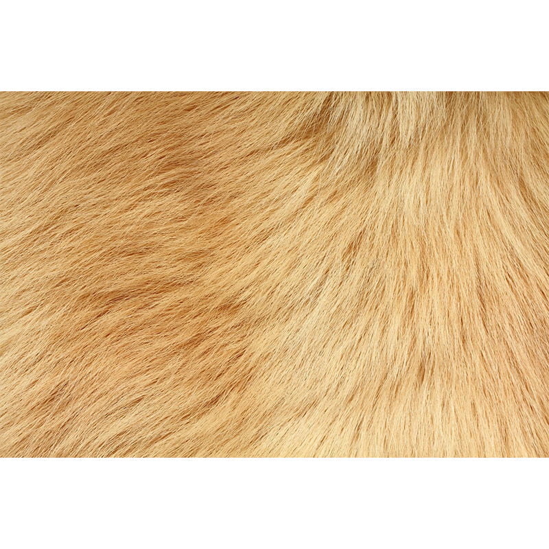 Photographic Animal Fur Print Mural Full Size Wall Decor for Boys Room, Custom Made Clearhalo 'Wall Decor' 'Wall Mural' 1895811