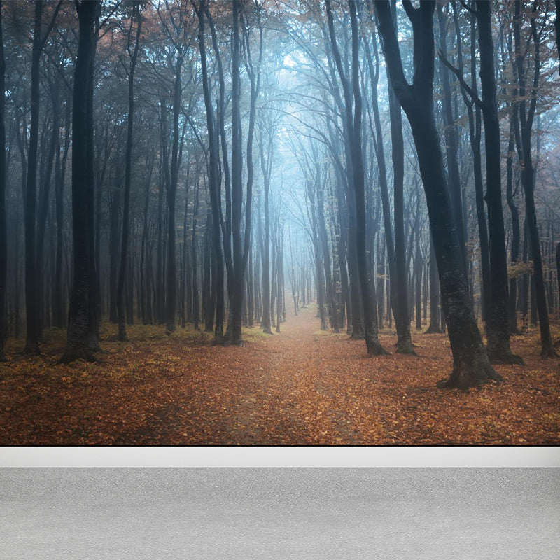 Misty Forest Landscape Wallpaper Mural Contemporary Smooth Wall Covering in Dark Color Dark Gray Clearhalo 'Wall Decor' 'Wall Mural' 1895843
