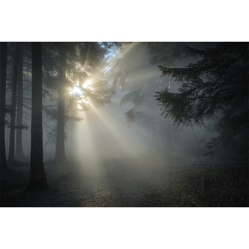 Light Color Misty Landscape Mural Moisture Resistant Modern Style Bedroom Wall Art Clearhalo 'Wall Decor' 'Wall Mural' 1897161