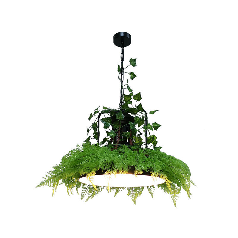 Burst/Barn/Birdcage Plant LED Pendant Lamp Industrial Pink/Green/Purple Finish Iron Hanging Chandelier for Bistro Clearhalo 'Cast Iron' 'Ceiling Lights' 'Chandeliers' 'Industrial Chandeliers' 'Industrial' 'Metal' 'Middle Century Chandeliers' 'Rustic Chandeliers' 'Tiffany' Lighting' 1907029