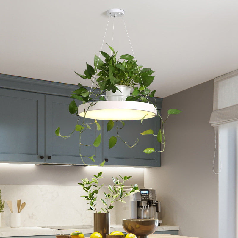 Macaron Round Hanging Light Acrylic LED Pendant Lighting Fixture in Black/Grey/White with Top Plant Pot White Clearhalo 'Art Deco Pendants' 'Black' 'Cast Iron' 'Ceiling Lights' 'Ceramic' 'Crystal' 'Industrial Pendants' 'Industrial' 'Metal' 'Middle Century Pendants' 'Pendant Lights' 'Pendants' 'Rustic Pendants' 'Tiffany' Lighting' 1909610