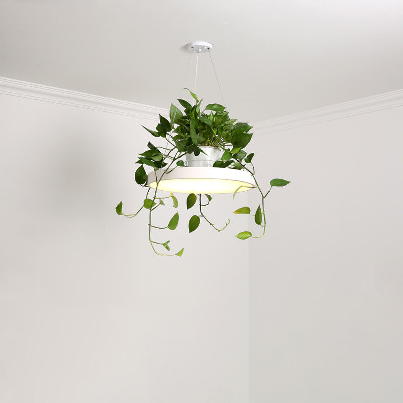 Macaron Round Hanging Light Acrylic LED Pendant Lighting Fixture in Black/Grey/White with Top Plant Pot Clearhalo 'Art Deco Pendants' 'Black' 'Cast Iron' 'Ceiling Lights' 'Ceramic' 'Crystal' 'Industrial Pendants' 'Industrial' 'Metal' 'Middle Century Pendants' 'Pendant Lights' 'Pendants' 'Rustic Pendants' 'Tiffany' Lighting' 1909611