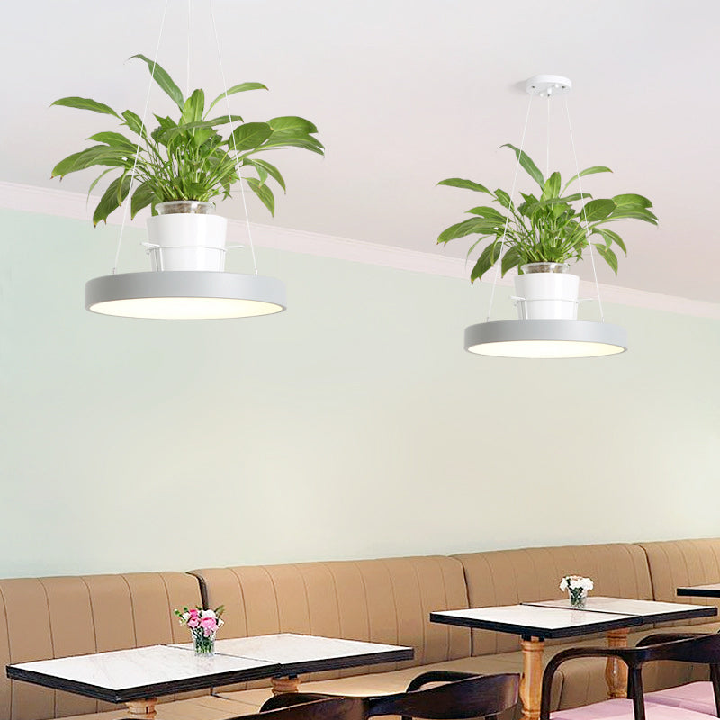 Macaron Round Hanging Light Acrylic LED Pendant Lighting Fixture in Black/Grey/White with Top Plant Pot Grey Clearhalo 'Art Deco Pendants' 'Black' 'Cast Iron' 'Ceiling Lights' 'Ceramic' 'Crystal' 'Industrial Pendants' 'Industrial' 'Metal' 'Middle Century Pendants' 'Pendant Lights' 'Pendants' 'Rustic Pendants' 'Tiffany' Lighting' 1909614