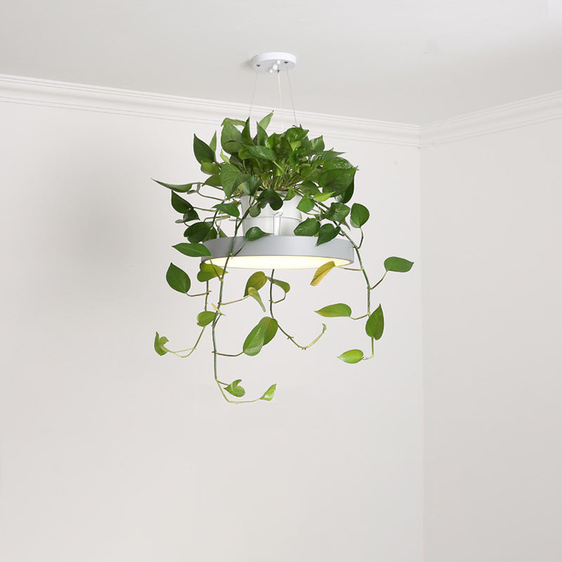 Macaron Round Hanging Light Acrylic LED Pendant Lighting Fixture in Black/Grey/White with Top Plant Pot Clearhalo 'Art Deco Pendants' 'Black' 'Cast Iron' 'Ceiling Lights' 'Ceramic' 'Crystal' 'Industrial Pendants' 'Industrial' 'Metal' 'Middle Century Pendants' 'Pendant Lights' 'Pendants' 'Rustic Pendants' 'Tiffany' Lighting' 1909615