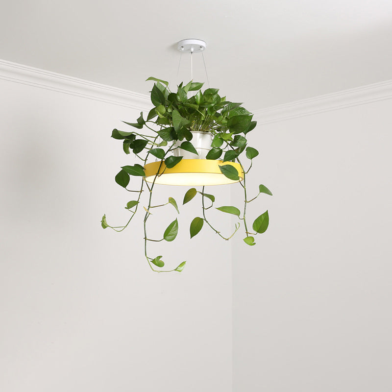 Macaron Round Hanging Light Acrylic LED Pendant Lighting Fixture in Black/Grey/White with Top Plant Pot Clearhalo 'Art Deco Pendants' 'Black' 'Cast Iron' 'Ceiling Lights' 'Ceramic' 'Crystal' 'Industrial Pendants' 'Industrial' 'Metal' 'Middle Century Pendants' 'Pendant Lights' 'Pendants' 'Rustic Pendants' 'Tiffany' Lighting' 1909618