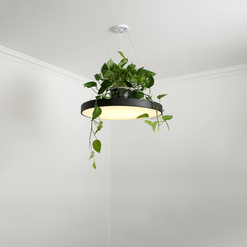 Macaron Round Hanging Light Acrylic LED Pendant Lighting Fixture in Black/Grey/White with Top Plant Pot Clearhalo 'Art Deco Pendants' 'Black' 'Cast Iron' 'Ceiling Lights' 'Ceramic' 'Crystal' 'Industrial Pendants' 'Industrial' 'Metal' 'Middle Century Pendants' 'Pendant Lights' 'Pendants' 'Rustic Pendants' 'Tiffany' Lighting' 1909621