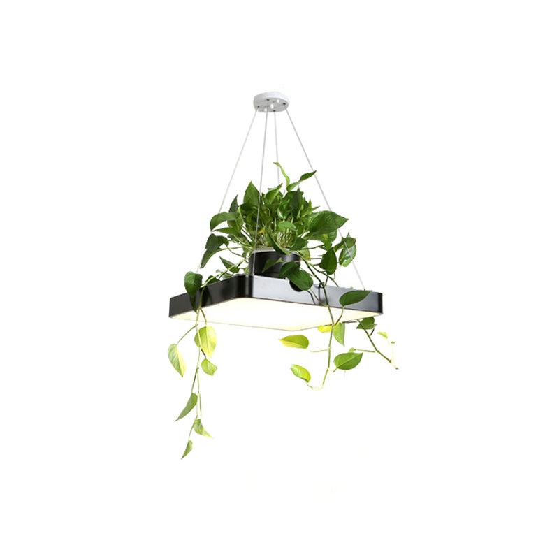 Square Restaurant Ceiling Pendant Nordic Acrylic Black/White/Blue LED Hanging Lamp Kit with Plant Container, 16"/19.5" W Clearhalo 'Art Deco Pendants' 'Black' 'Cast Iron' 'Ceiling Lights' 'Ceramic' 'Crystal' 'Industrial Pendants' 'Industrial' 'Metal' 'Middle Century Pendants' 'Pendant Lights' 'Pendants' 'Rustic Pendants' 'Tiffany' Lighting' 1909628