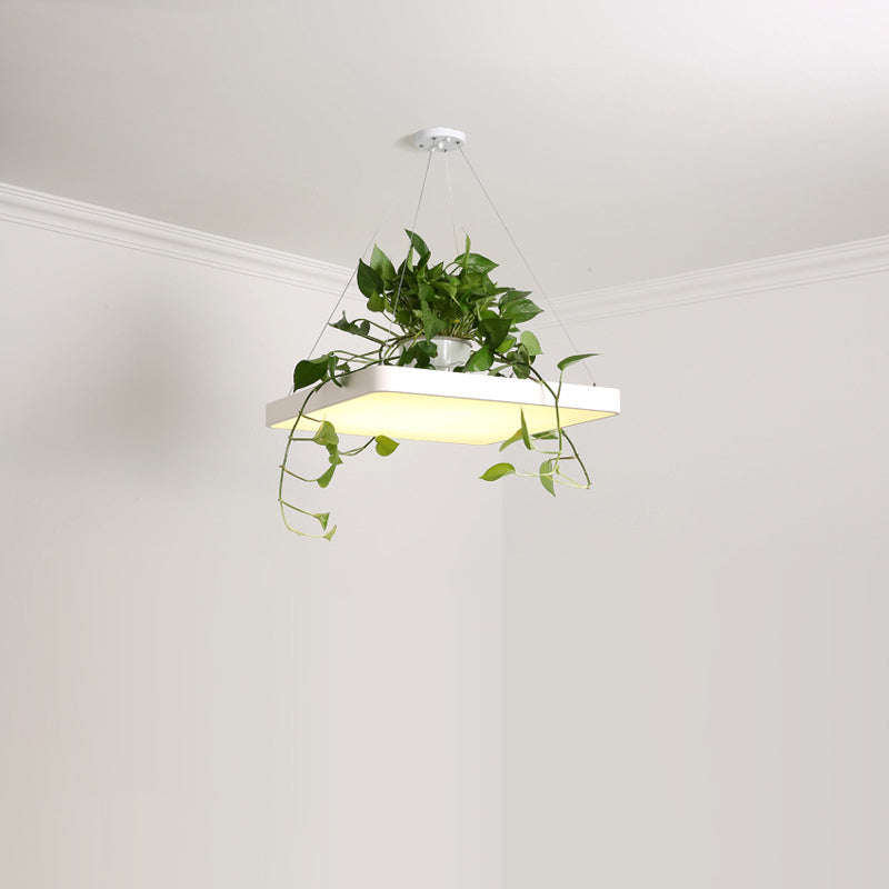 Square Restaurant Ceiling Pendant Nordic Acrylic Black/White/Blue LED Hanging Lamp Kit with Plant Container, 16"/19.5" W Clearhalo 'Art Deco Pendants' 'Black' 'Cast Iron' 'Ceiling Lights' 'Ceramic' 'Crystal' 'Industrial Pendants' 'Industrial' 'Metal' 'Middle Century Pendants' 'Pendant Lights' 'Pendants' 'Rustic Pendants' 'Tiffany' Lighting' 1909632
