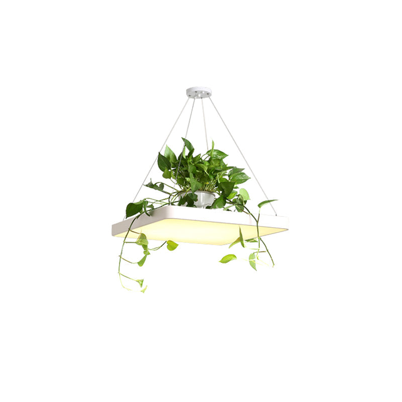 Square Restaurant Ceiling Pendant Nordic Acrylic Black/White/Blue LED Hanging Lamp Kit with Plant Container, 16"/19.5" W Clearhalo 'Art Deco Pendants' 'Black' 'Cast Iron' 'Ceiling Lights' 'Ceramic' 'Crystal' 'Industrial Pendants' 'Industrial' 'Metal' 'Middle Century Pendants' 'Pendant Lights' 'Pendants' 'Rustic Pendants' 'Tiffany' Lighting' 1909633