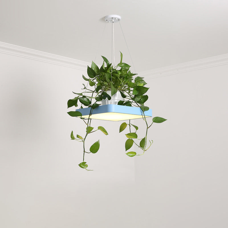 Square Restaurant Ceiling Pendant Nordic Acrylic Black/White/Blue LED Hanging Lamp Kit with Plant Container, 16"/19.5" W Clearhalo 'Art Deco Pendants' 'Black' 'Cast Iron' 'Ceiling Lights' 'Ceramic' 'Crystal' 'Industrial Pendants' 'Industrial' 'Metal' 'Middle Century Pendants' 'Pendant Lights' 'Pendants' 'Rustic Pendants' 'Tiffany' Lighting' 1909635