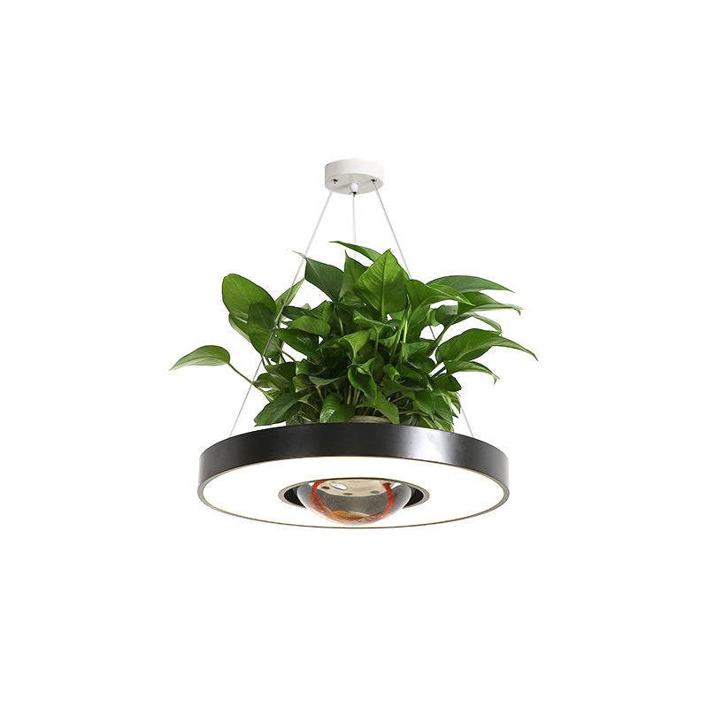 16"/19.5" W Acrylic LED Ceiling Hang Light Nordic Black/White/Green Circle Dining Room Down Lighting with Fish Bowl Clearhalo 'Art Deco Pendants' 'Black' 'Cast Iron' 'Ceiling Lights' 'Ceramic' 'Crystal' 'Industrial Pendants' 'Industrial' 'Metal' 'Middle Century Pendants' 'Pendant Lights' 'Pendants' 'Rustic Pendants' 'Tiffany' Lighting' 1909651