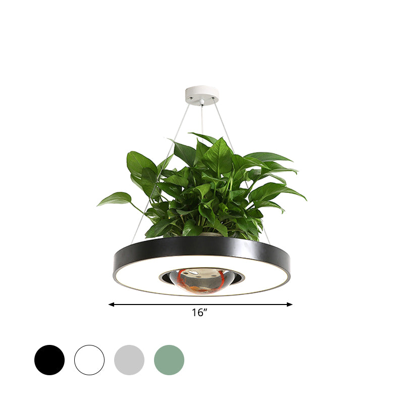 16"/19.5" W Acrylic LED Ceiling Hang Light Nordic Black/White/Green Circle Dining Room Down Lighting with Fish Bowl Clearhalo 'Art Deco Pendants' 'Black' 'Cast Iron' 'Ceiling Lights' 'Ceramic' 'Crystal' 'Industrial Pendants' 'Industrial' 'Metal' 'Middle Century Pendants' 'Pendant Lights' 'Pendants' 'Rustic Pendants' 'Tiffany' Lighting' 1909652