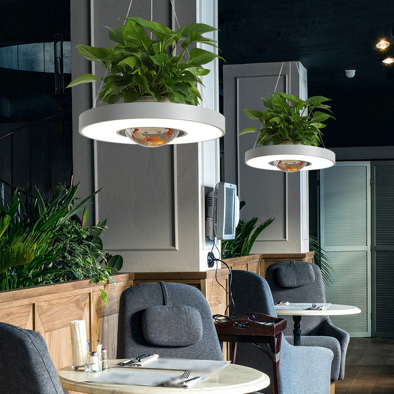 16"/19.5" W Acrylic LED Ceiling Hang Light Nordic Black/White/Green Circle Dining Room Down Lighting with Fish Bowl Grey Clearhalo 'Art Deco Pendants' 'Black' 'Cast Iron' 'Ceiling Lights' 'Ceramic' 'Crystal' 'Industrial Pendants' 'Industrial' 'Metal' 'Middle Century Pendants' 'Pendant Lights' 'Pendants' 'Rustic Pendants' 'Tiffany' Lighting' 1909657
