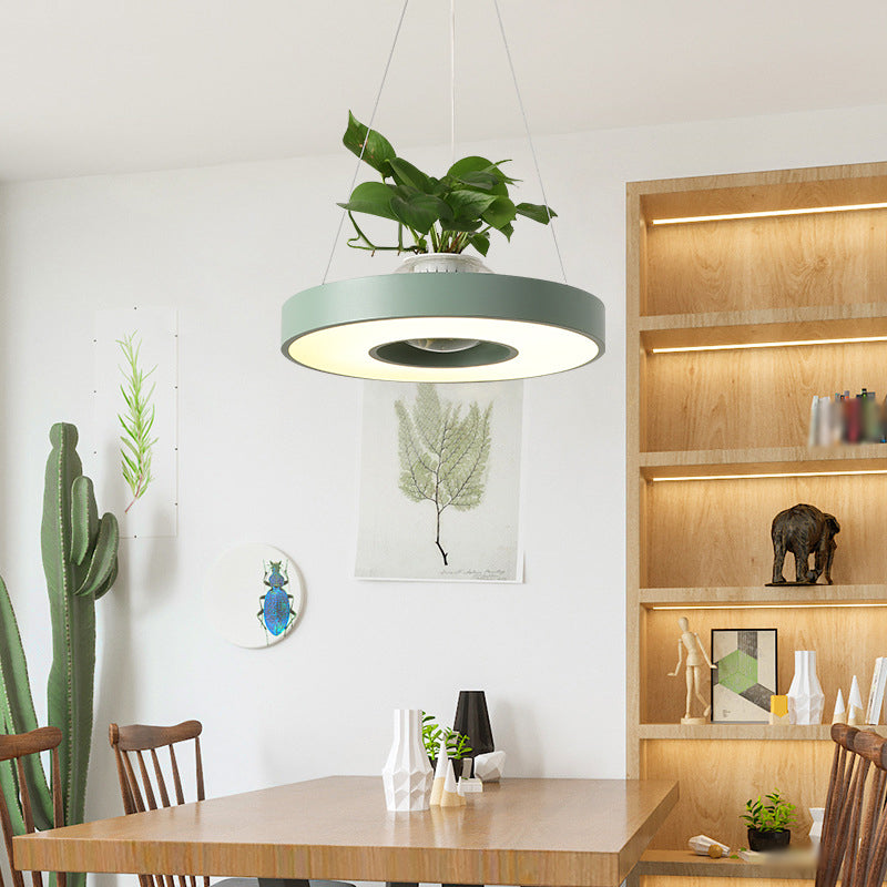 16"/19.5" W Acrylic LED Ceiling Hang Light Nordic Black/White/Green Circle Dining Room Down Lighting with Fish Bowl Green Clearhalo 'Art Deco Pendants' 'Black' 'Cast Iron' 'Ceiling Lights' 'Ceramic' 'Crystal' 'Industrial Pendants' 'Industrial' 'Metal' 'Middle Century Pendants' 'Pendant Lights' 'Pendants' 'Rustic Pendants' 'Tiffany' Lighting' 1909660