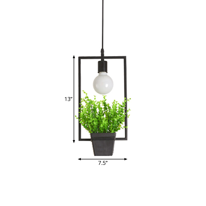 Single Plant Pendant Lighting Fixture Rustic Triangle/Square/Oval Frame Iron Hanging Lamp in Black Clearhalo 'Art Deco Pendants' 'Black' 'Cast Iron' 'Ceiling Lights' 'Ceramic' 'Crystal' 'Industrial Pendants' 'Industrial' 'Metal' 'Middle Century Pendants' 'Pendant Lights' 'Pendants' 'Rustic Pendants' 'Tiffany' Lighting' 1909686
