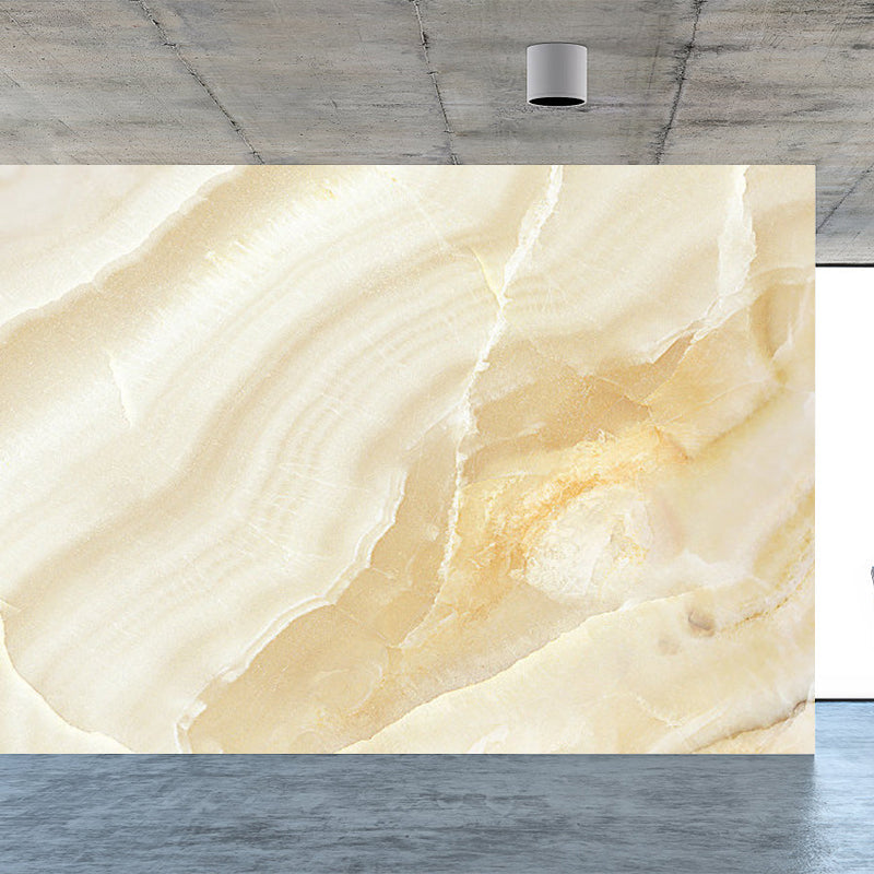 Light Color Abstract Print Mural Wallpaper Moisture-Proof Wall Art for Dining Room Beige Clearhalo 'Wall Decor' 'Wall Mural' 1922861