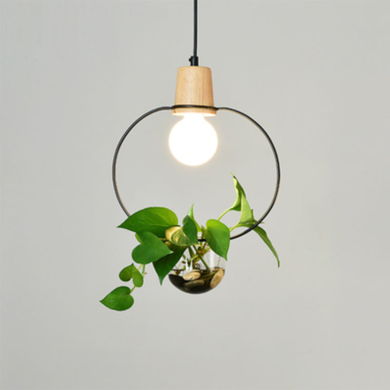 Planter Hanging Lamp Contemporary Clear Glass 1-Light Study Room Lighting Pendant Black A Clearhalo 'Art Deco Pendants' 'Black' 'Cast Iron' 'Ceiling Lights' 'Ceramic' 'Crystal' 'Industrial Pendants' 'Industrial' 'Metal' 'Middle Century Pendants' 'Pendant Lights' 'Pendants' 'Rustic Pendants' 'Tiffany' Lighting' 2064008