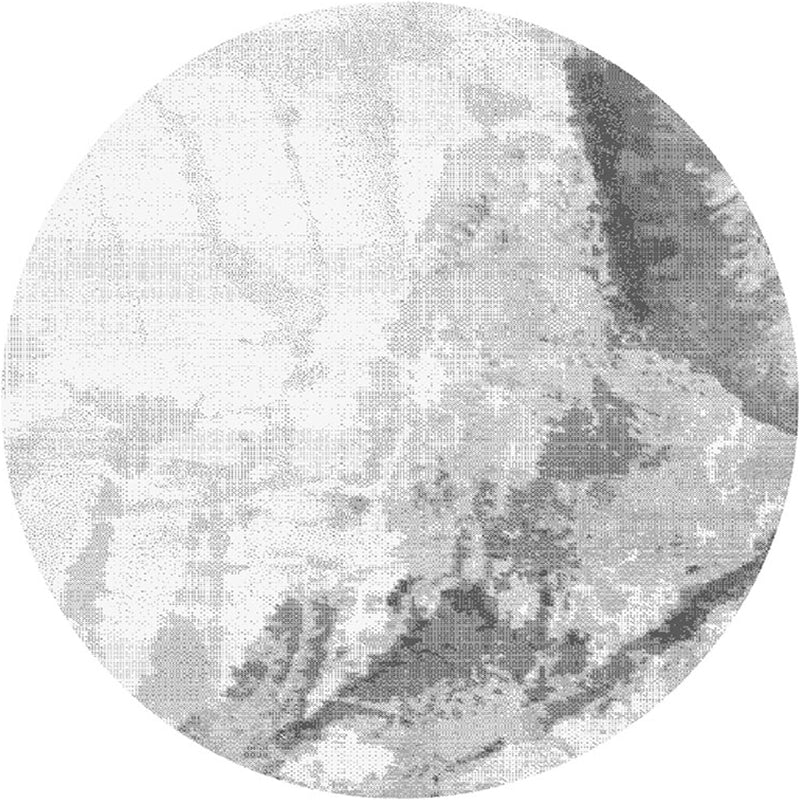 Multicolor Home Decor Rug Unique Abstract Patterned Area Carpet Synthetics Washable Pet Friendly Rug Silver Gray Clearhalo 'Area Rug' 'Rug' 2214862