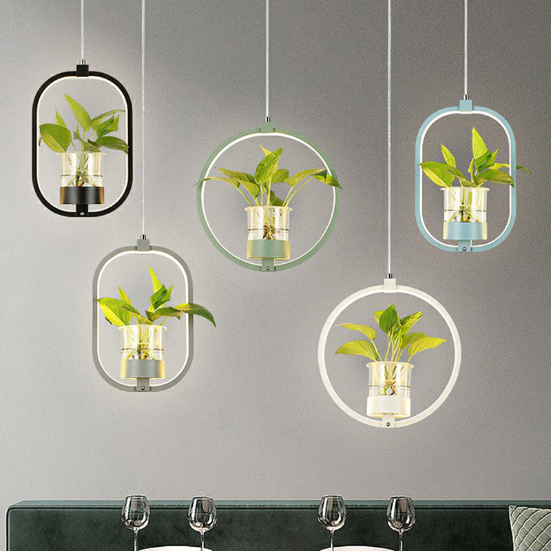 Nordic Circular LED Ceiling Pendant Acrylic Dining Room Suspension Lamp with Glass Plant Bucket Clearhalo 'Ceiling Lights' 'Pendant Lights' 'Pendants' Lighting' 2385333