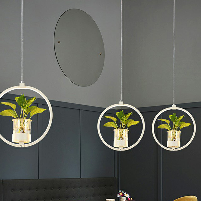 Nordic Circular LED Ceiling Pendant Acrylic Dining Room Suspension Lamp with Glass Plant Bucket White Round Clearhalo 'Ceiling Lights' 'Pendant Lights' 'Pendants' Lighting' 2385334_ebac18da-7668-4363-812c-b54762539aca