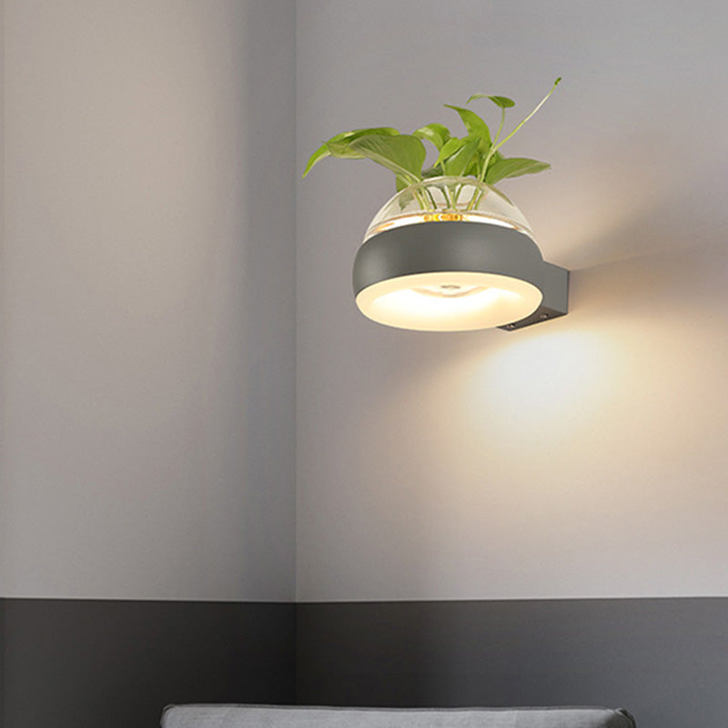 Clear Glass Dome Wall Lighting Industrial 1 Bulb Bedroom LED Wall Sconce Lamp in Black/Grey/White with Plant Container Clearhalo 'Cast Iron' 'Glass' 'Industrial wall lights' 'Industrial' 'Middle century wall lights' 'Modern' 'Tiffany' 'Traditional wall lights' 'Wall Lamps & Sconces' 'Wall Lights' Lighting' 390095