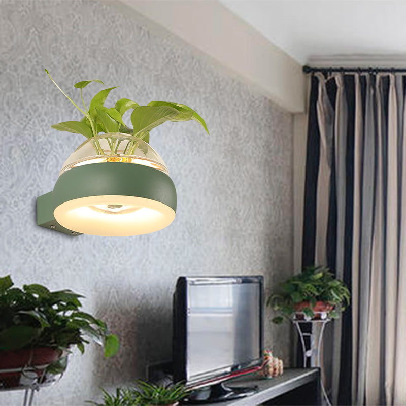 Clear Glass Dome Wall Lighting Industrial 1 Bulb Bedroom LED Wall Sconce Lamp in Black/Grey/White with Plant Container Clearhalo 'Cast Iron' 'Glass' 'Industrial wall lights' 'Industrial' 'Middle century wall lights' 'Modern' 'Tiffany' 'Traditional wall lights' 'Wall Lamps & Sconces' 'Wall Lights' Lighting' 390098