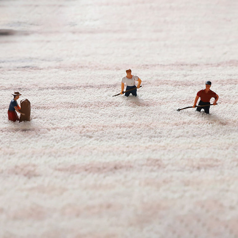 Retro Bohemian Carpet Indoor Carpet Stain Resistant Carpet for Living Room