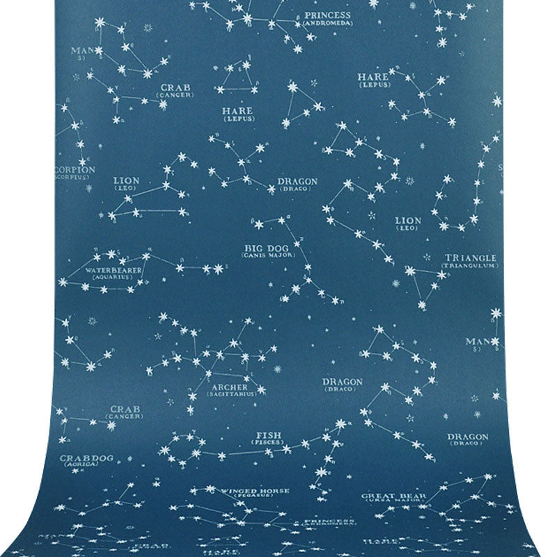 Contemporary Horoscope Wall Decor for Boy's Bedroom, 31'L x 20.5"W Wallpaper in Blue Color Clearhalo 'Wall Decor' 'Wallpaper' 962769