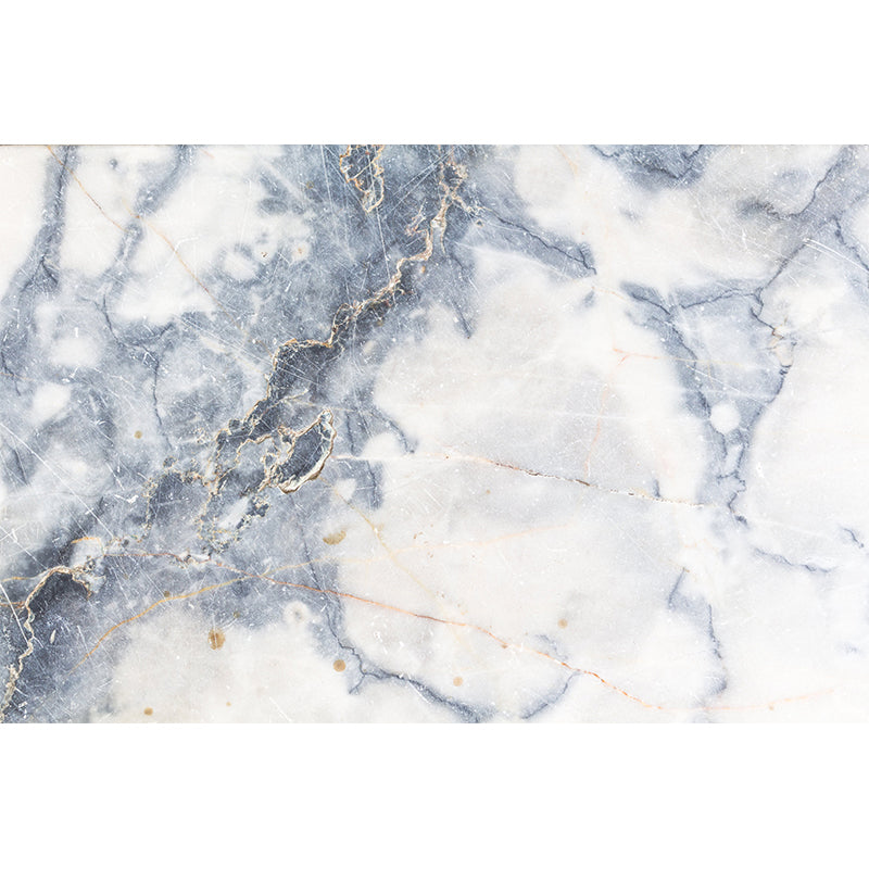 Minimalist Marble Wall Mural for Living Room and Bathroom, Personalized Size Wall Decor in Pastel Grey Clearhalo 'Wall Decor' 'Wall Mural' 969818